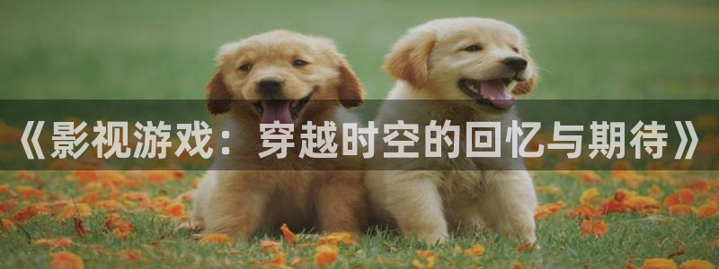 八戒私人影院网站 视频