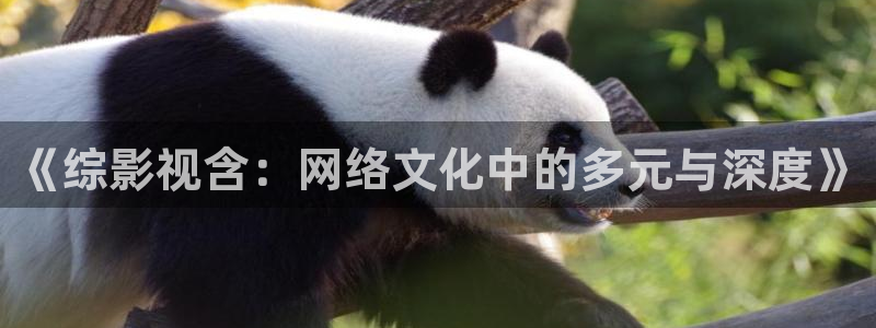 电影八戒八戒高清免费观看